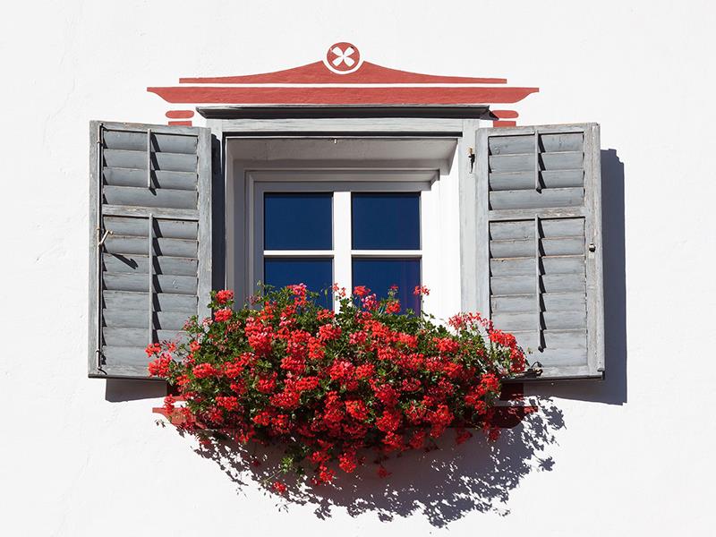 Ventana con flores